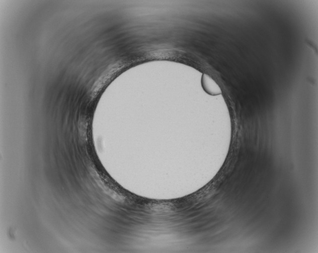 X0000103500106200810241134