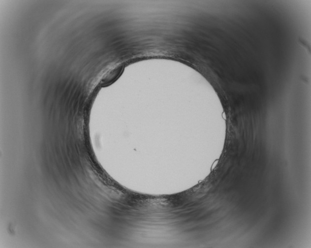 X0000103500108200810241133