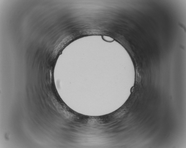 X0000103500109200810241133