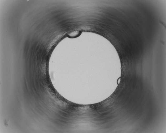 X0000103500112200810241133