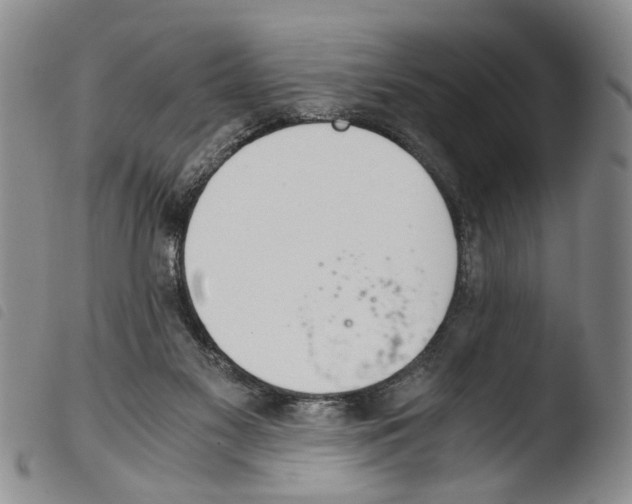 X0000103500117200810241133