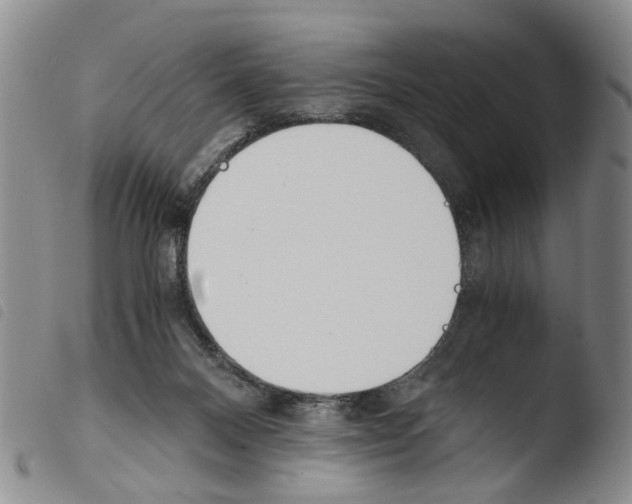 X0000103500120200810241133