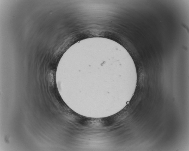 X0000103500121200810241133