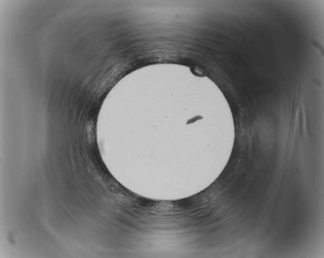 X0000103500123200810241133