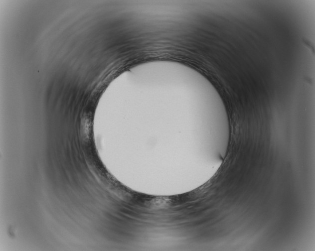 X0000103500124200810241133