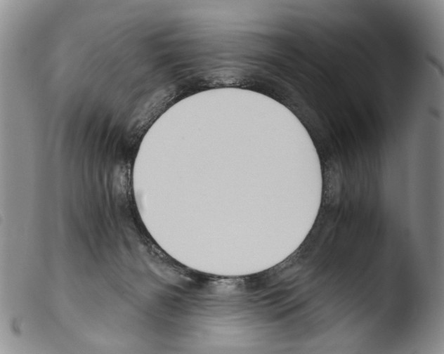 X0000103500126200810241133