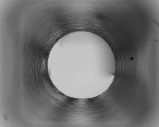 X0000103500128200810241133