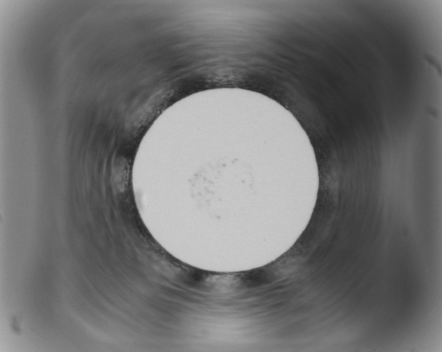 X0000103500133200810241133