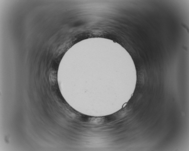 X0000103500135200810241133