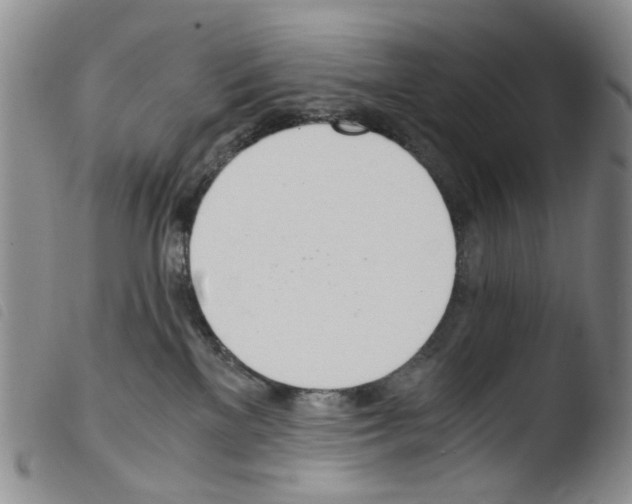 X0000103500137200810241133