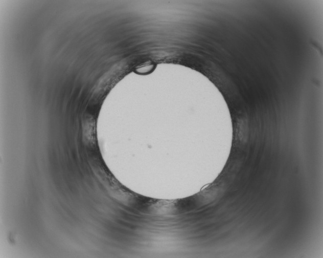 X0000103500138200810241133