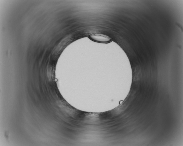 X0000103500140200810241133