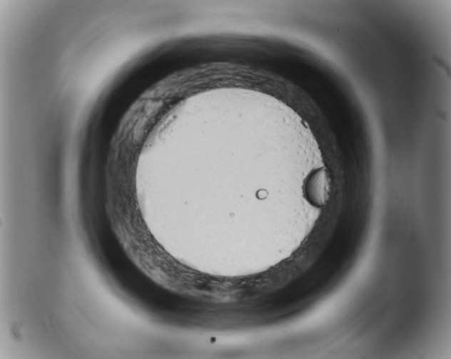 X0000103500143200810241133