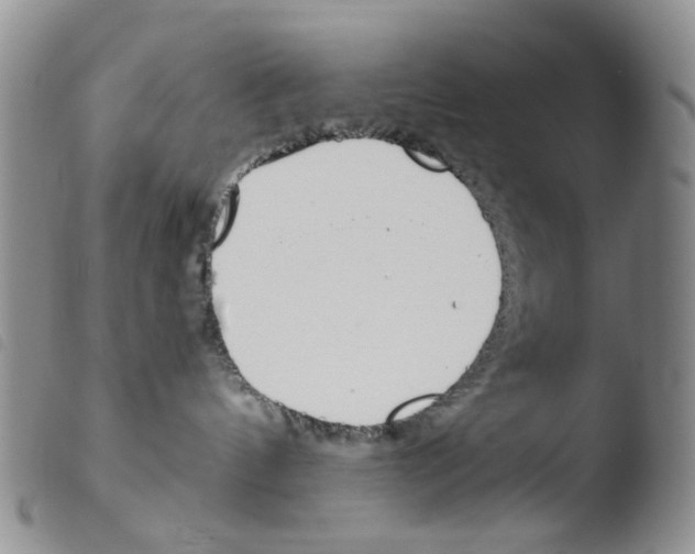 X0000103500144200810241133