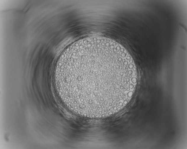 X0000103500145200810241132