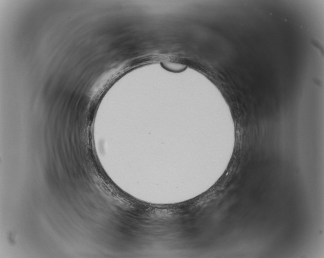 X0000103500149200810241132