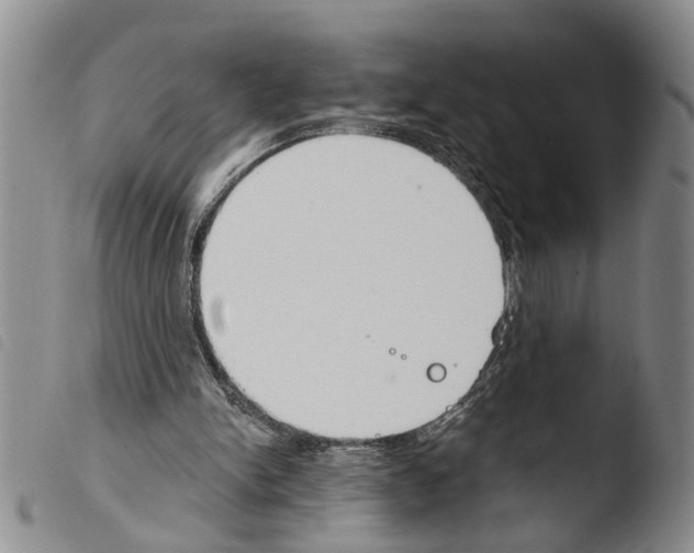 X0000103500150200810241132