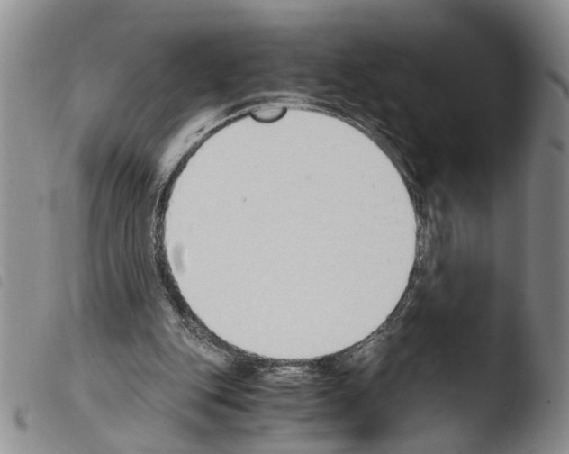 X0000103500151200810241132