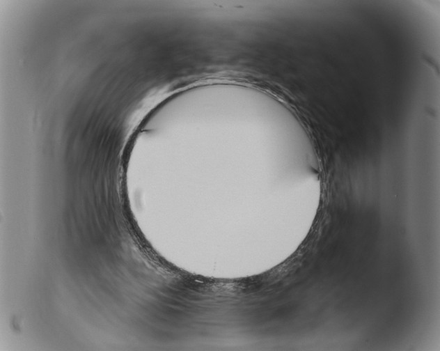 X0000103500152200810241132