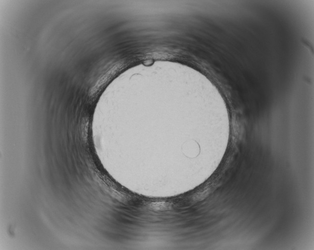 X0000103500153200810241132