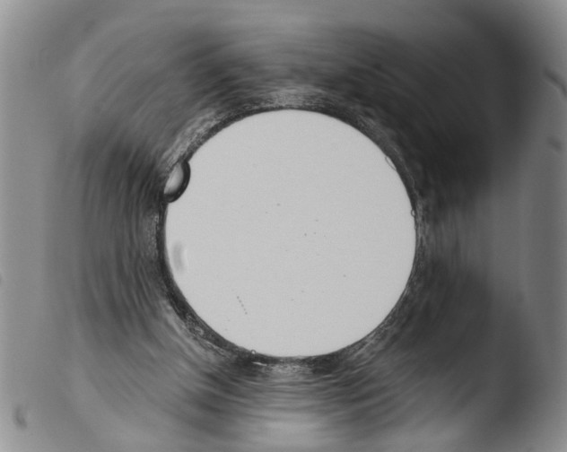 X0000103500154200810241132