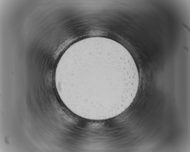 X0000103500155200810241132