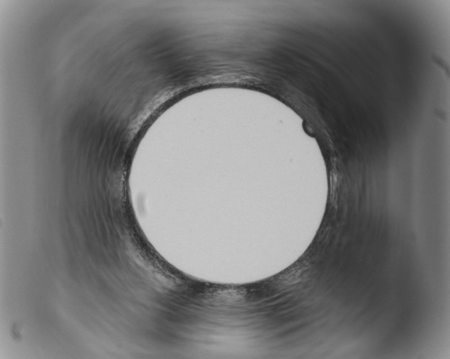 X0000103500156200810241132