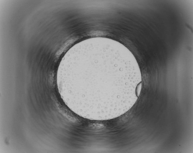 X0000103500159200810241133