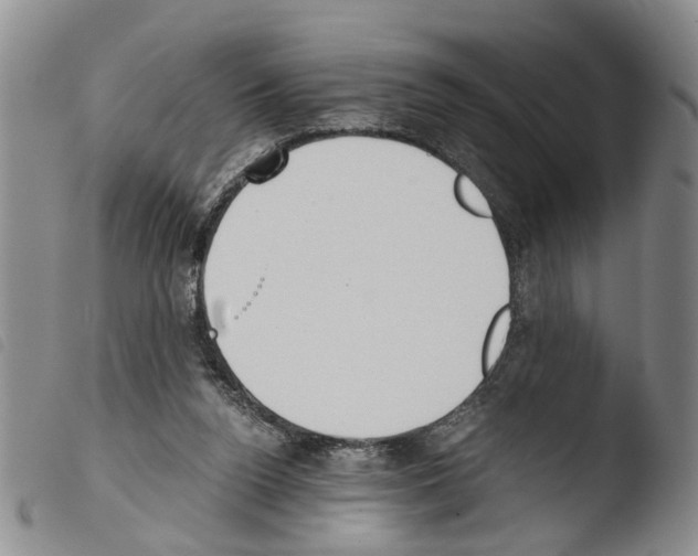 X0000103500160200810241133