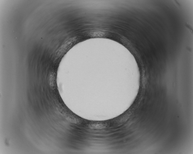 X0000103500161200810241133