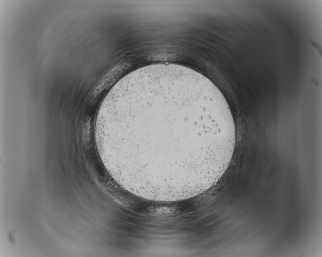 X0000103500163200810241133