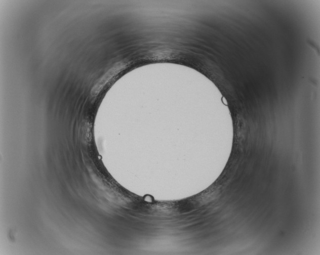 X0000103500164200810241133