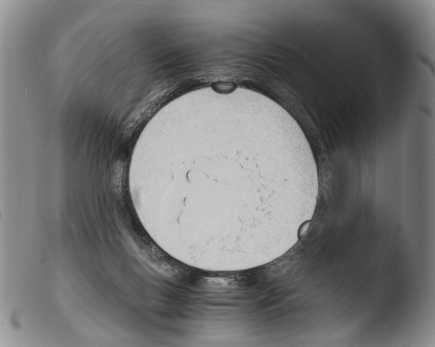 X0000103500167200810241133