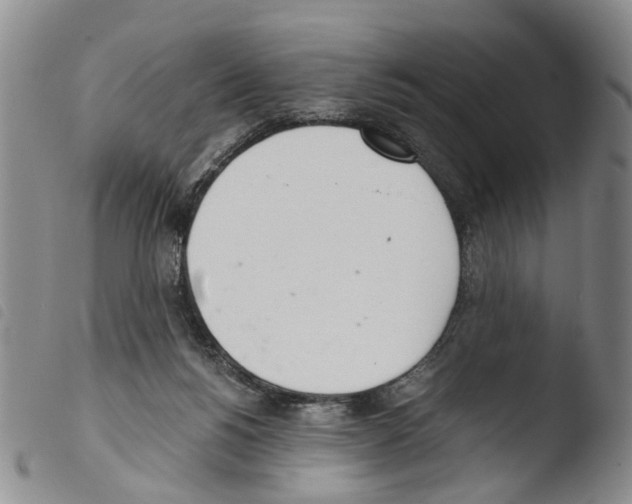 X0000103500168200810241133