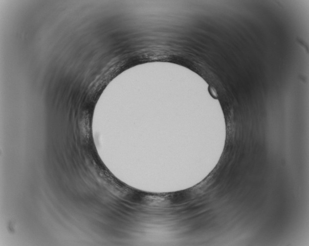 X0000103500170200810241133