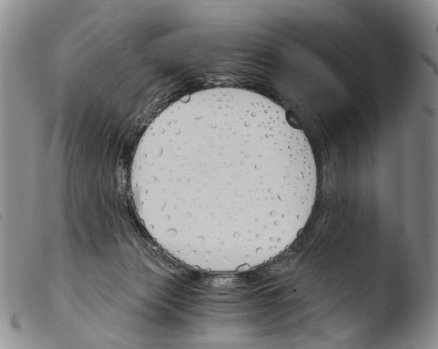 X0000103500173200810241133