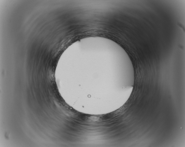 X0000103500176200810241133