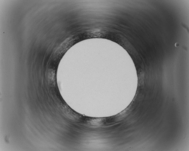 X0000103500178200810241133