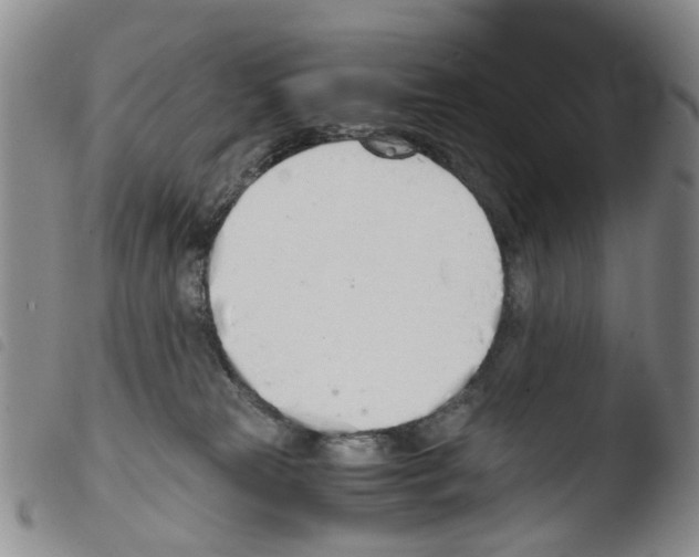 X0000103500181200810241133