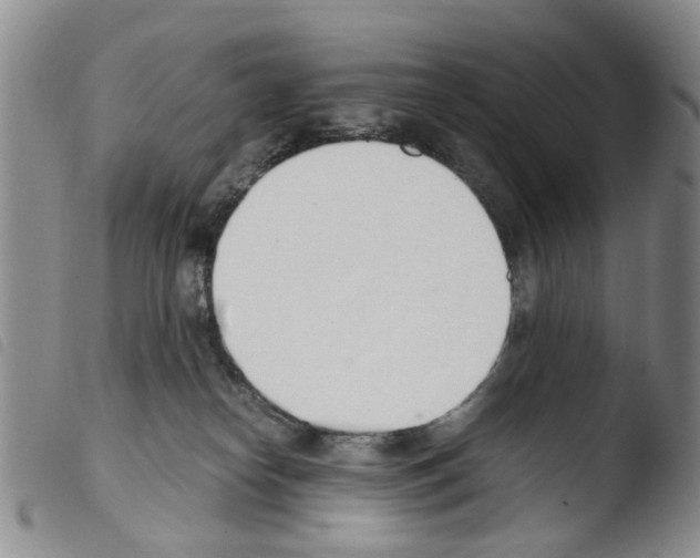 X0000103500182200810241133