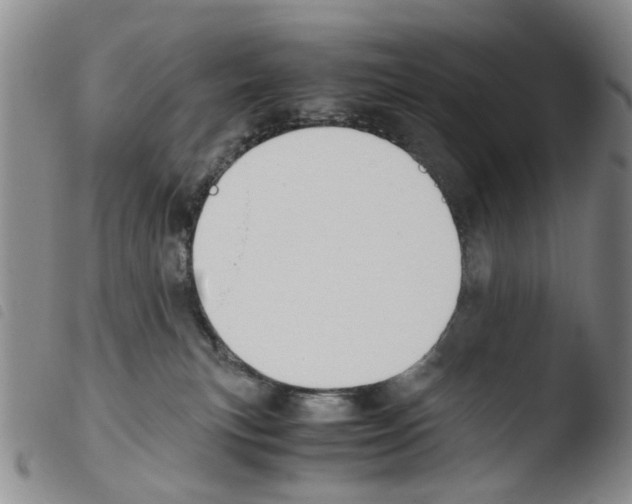 X0000103500183200810241133