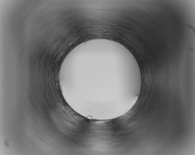 X0000103500184200810241133