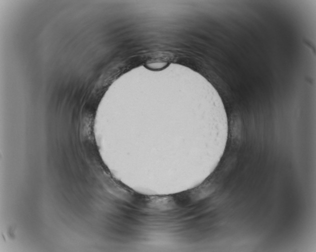 X0000103500185200810241133