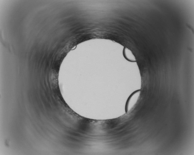 X0000103500186200810241133