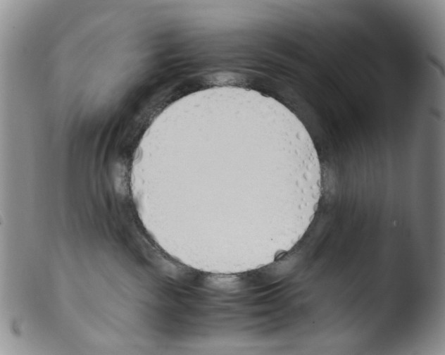 X0000103500189200810241133