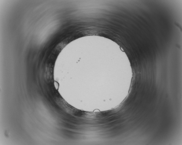 X0000103500190200810241133