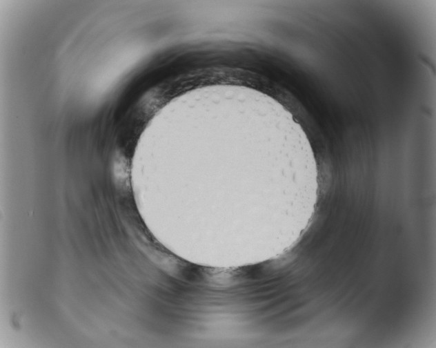 X0000103500191200810241133