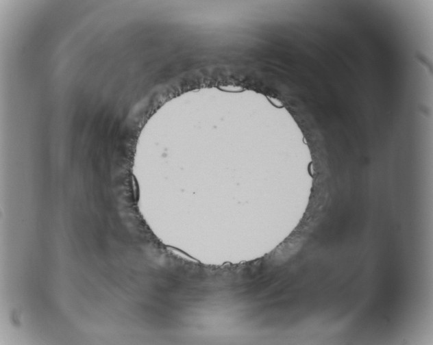 X0000103500192200810241133