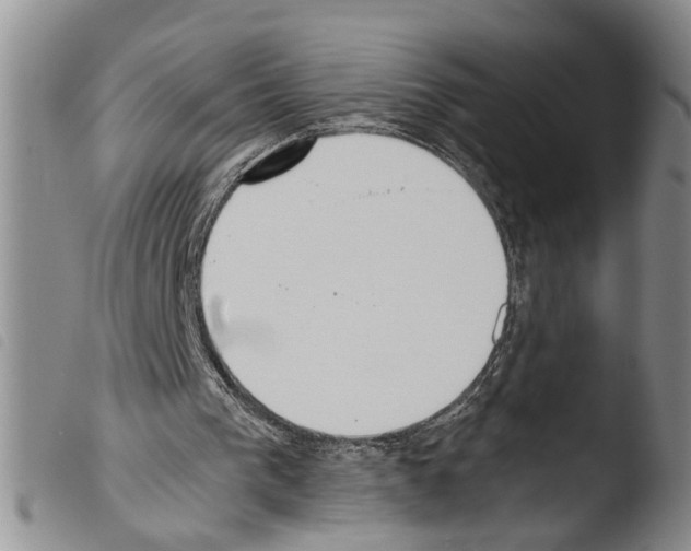 X0000103500193200810241132