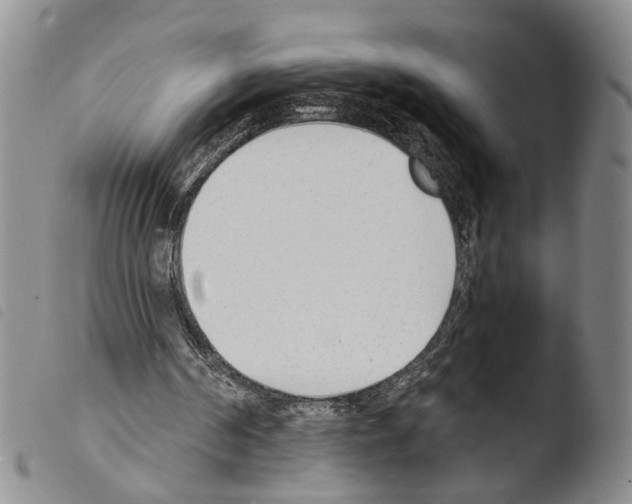 X0000103500194200810241132